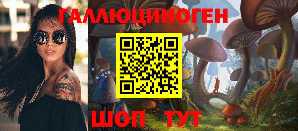 Псилоцибиновые грибы Psilocybine cubensis  Вход с VPN  где продают наркотики  Псилоцибиновые грибы прущие грибы  Новочеркасск 