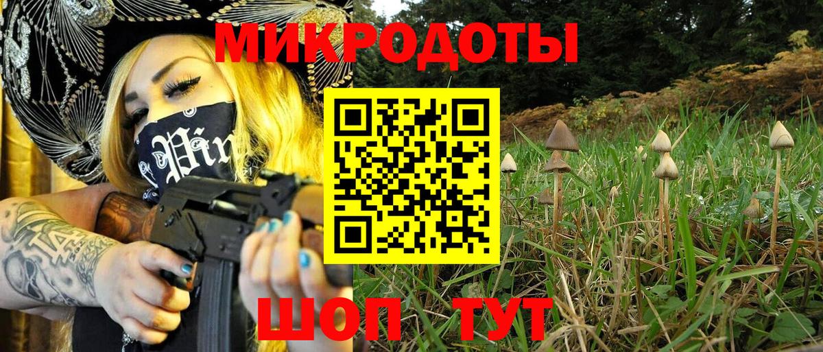 Галлюциногенные грибы прущие грибы Новочеркасск